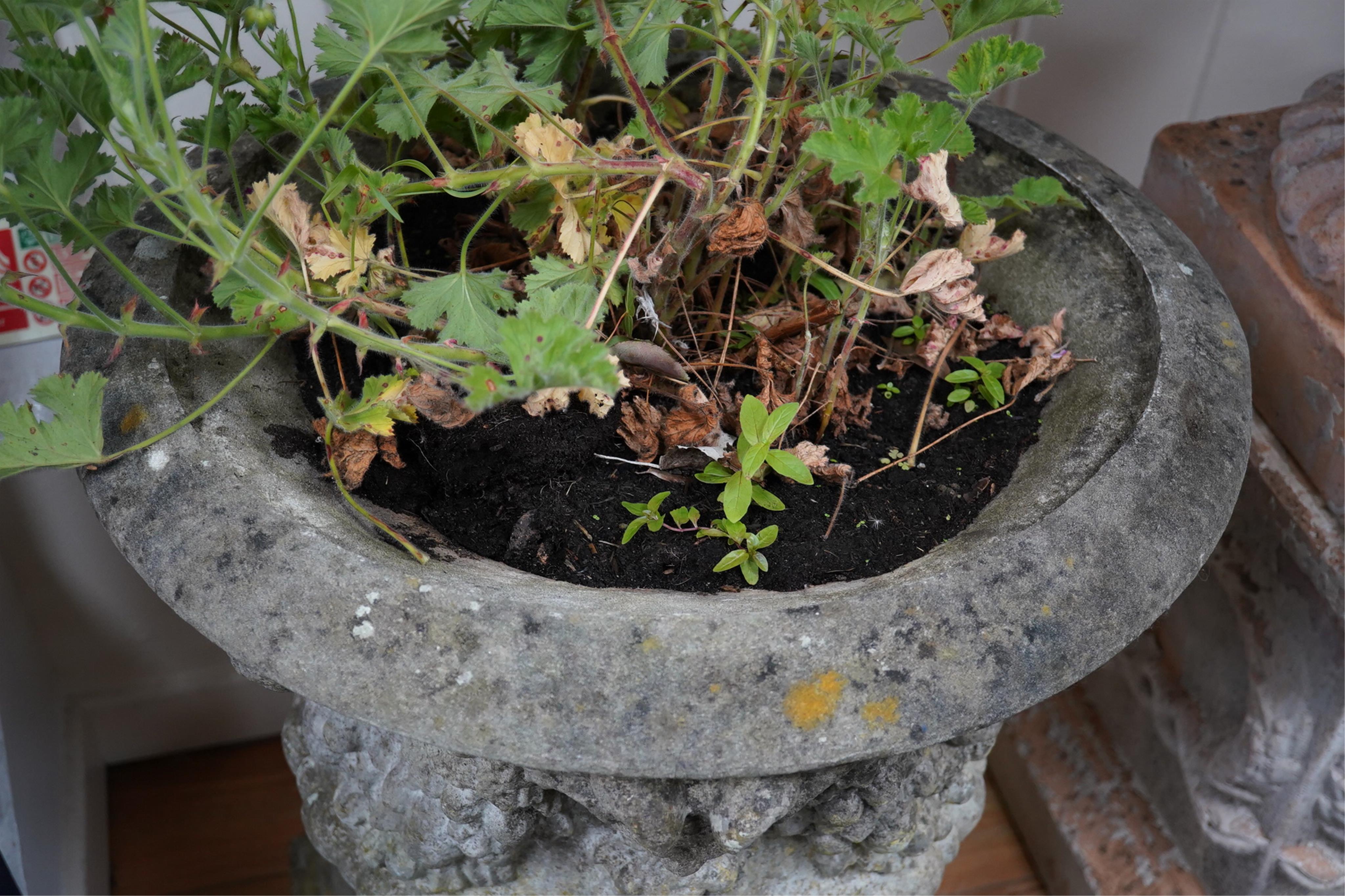 Three reconstituted stone campana shaped garden urns